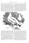 Thumbnail 0008 of St. Nicholas. September 1875