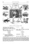 Thumbnail 0067 of St. Nicholas. October 1875