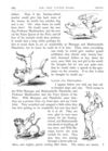 Thumbnail 0059 of St. Nicholas. February 1876