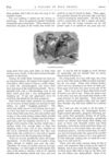 Thumbnail 0017 of St. Nicholas. August 1877