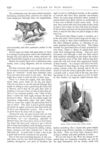 Thumbnail 0021 of St. Nicholas. August 1877