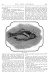 Thumbnail 0040 of St. Nicholas. September 1877