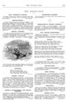 Thumbnail 0066 of St. Nicholas. September 1877
