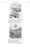Thumbnail 0012 of St. Nicholas. January 1878