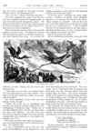 Thumbnail 0023 of St. Nicholas. January 1878