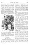 Thumbnail 0030 of St. Nicholas. January 1878