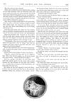 Thumbnail 0010 of St. Nicholas. February 1878