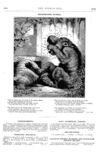 Thumbnail 0066 of St. Nicholas. February 1878
