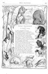 Thumbnail 0040 of St. Nicholas. March 1878