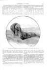 Thumbnail 0043 of St. Nicholas. November 1887
