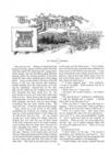 Thumbnail 0023 of St. Nicholas. March 1888