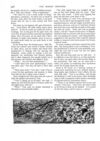 Thumbnail 0027 of St. Nicholas. March 1888