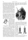 Thumbnail 0043 of St. Nicholas. March 1888