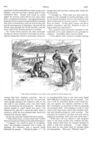 Thumbnail 0048 of St. Nicholas. April 1888