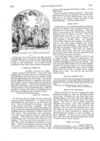 Thumbnail 0073 of St. Nicholas. May 1888