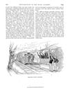 Thumbnail 0060 of St. Nicholas. July 1888