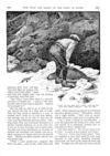 Thumbnail 0064 of St. Nicholas. August 1888