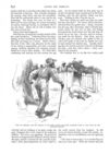 Thumbnail 0037 of St. Nicholas. September 1888