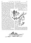 Thumbnail 0044 of St. Nicholas. January 1889