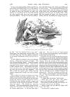 Thumbnail 0009 of St. Nicholas. March 1889