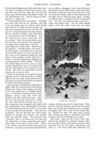 Thumbnail 0040 of St. Nicholas. March 1889