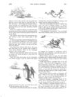 Thumbnail 0069 of St. Nicholas. March 1889