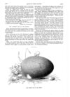 Thumbnail 0074 of St. Nicholas. April 1889