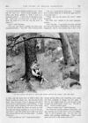 Thumbnail 0009 of St. Nicholas. December 1886