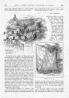 Thumbnail 0025 of St. Nicholas. December 1886