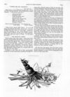 Thumbnail 0075 of St. Nicholas. June 1889