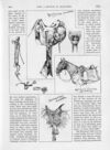 Thumbnail 0025 of St. Nicholas. July 1889