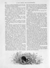 Thumbnail 0024 of St. Nicholas. September 1889