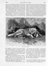 Thumbnail 0064 of St. Nicholas. September 1889