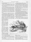 Thumbnail 0073 of St. Nicholas. September 1889