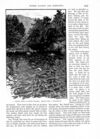 Thumbnail 0065 of St. Nicholas. October 1889
