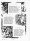 Thumbnail 0067 of St. Nicholas. October 1889