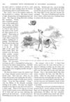 Thumbnail 0005 of St. Nicholas. November 1889