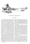 Thumbnail 0009 of St. Nicholas. November 1889