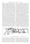 Thumbnail 0038 of St. Nicholas. November 1889