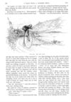 Thumbnail 0082 of St. Nicholas. November 1889