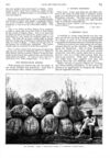Thumbnail 0085 of St. Nicholas. November 1889