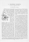 Thumbnail 0053 of St. Nicholas. February 1890