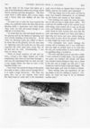 Thumbnail 0064 of St. Nicholas. March 1890