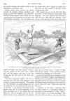 Thumbnail 0049 of St. Nicholas. September 1890