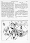 Thumbnail 0080 of St. Nicholas. October 1890