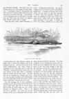 Thumbnail 0076 of St. Nicholas. November 1890
