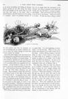 Thumbnail 0017 of St. Nicholas. June 1891