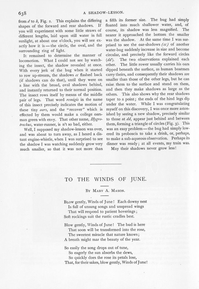 Scan 0072 of St. Nicholas. June 1891