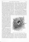 Thumbnail 0031 of St. Nicholas. August 1891