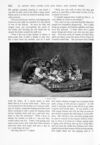 Thumbnail 0010 of St. Nicholas. October 1891